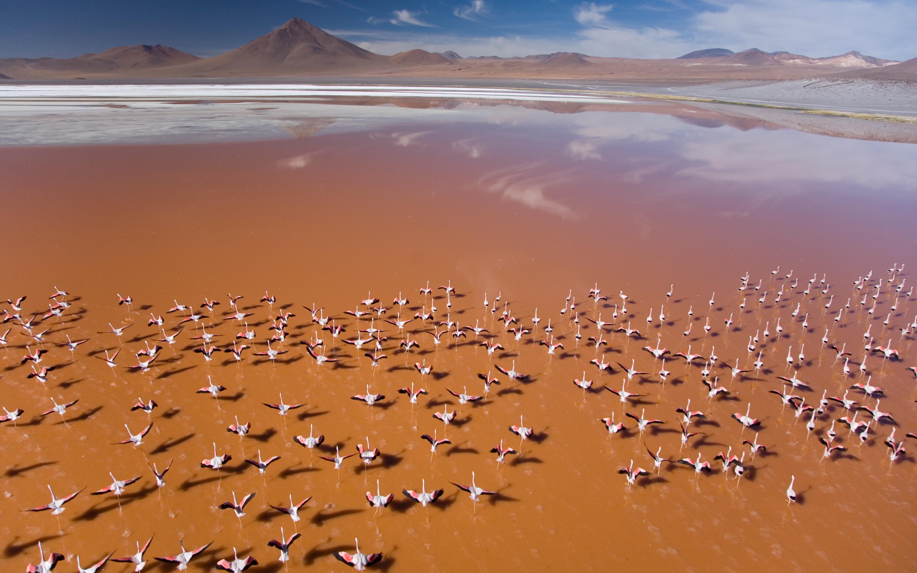 Silk Road